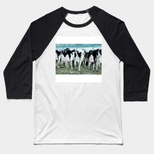 Cows Baseball T-Shirt